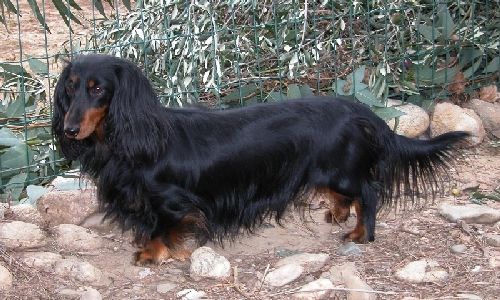 CH. Soutane de la Voûte Azurée