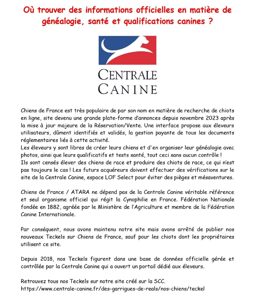 des Garrigues de Réals - Information chiens/chiots de Race (LOF)